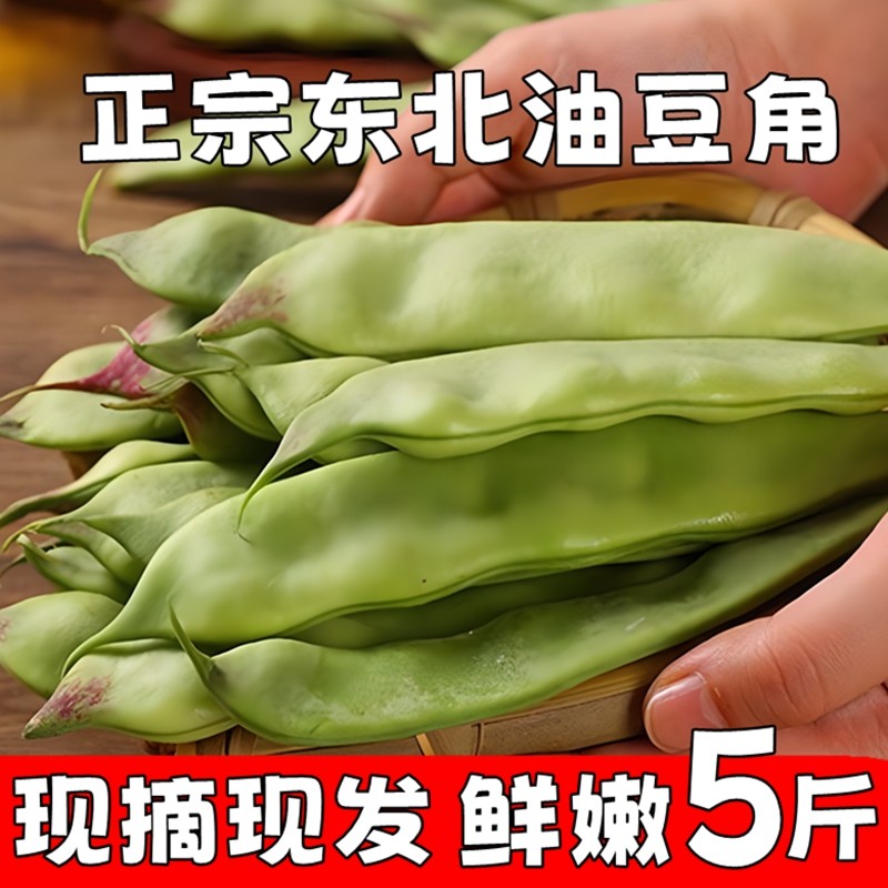 东北特产新鲜一点红油豆角蔬菜农家种植开锅烂九月青疏菜顺丰包邮