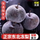 冻梨东北特产梨子新鲜丑梨水果果冻秋梨黑梨水晶梨冻柿子泡梨冬果