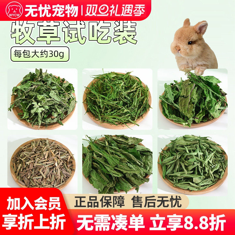 试吃干草烘干晒干提摩西草南提北提加提美提苜蓿草菊苣兔兔龙猫粮