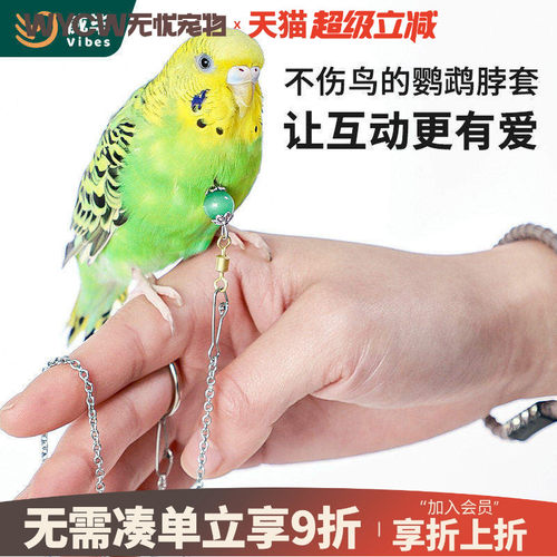 鹦鹉脖套不锈钢虎皮玄凤脚链