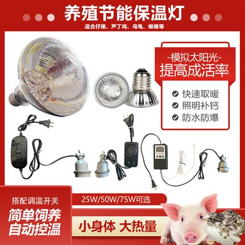 猪用保温灯温控器小猪保温箱控制开关取暖灯头芦丁鸡宠物爬宠灯泡