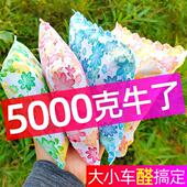 车载活性炭包除甲醛新汽车用竹炭包去味吸附甲醛车内净化摆件饰品