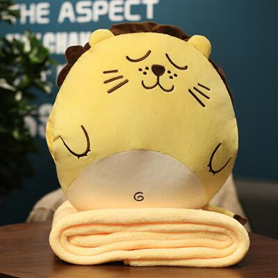 Office hand warmer pillow and quilt dual-use car cushion b