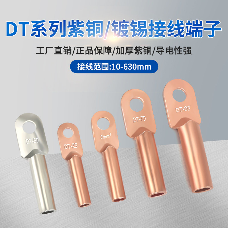 铜鼻子压接镀锡堵油DT10-300平方