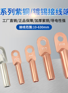 DT铜鼻子铜接头电线电缆接线端子DT10-300平方镀锡堵油紫铜线鼻子