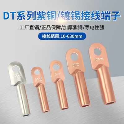铜鼻子压接镀锡堵油DT10-300平方