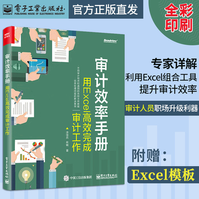 官方正版包邮 审计效率手册 用Excel高效完成审计工作 详解如何利用Excel组合工具提升审计效率 表格制作 函数公式 Office办公书籍