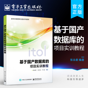 基于国产数据库 全过程 项目实训教程 Database和Python语言平台开发管理信息系统 张永新 基于国产数据库HighGo 官方正版
