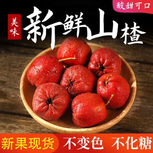 大五精品新鲜现摘农家山楂果