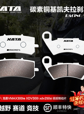 XATA碳素铜基刹车片龙嘉VMAX300ie XDV300i xdv250si碟刹皮制动片