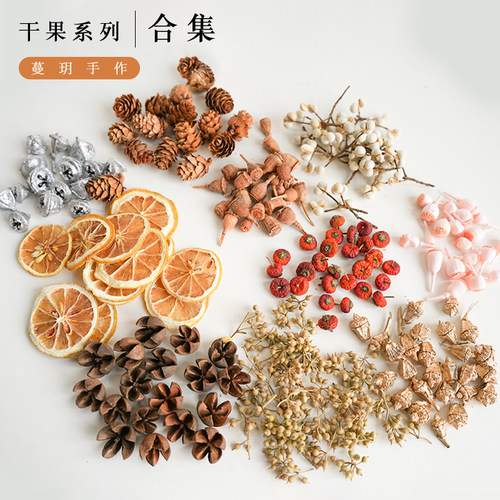 天然植物干果标本材料包