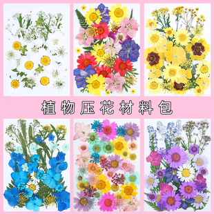 永生花压花材料包DIY相框贴画团扇浮游 押花艺课手工花料包蜡烛