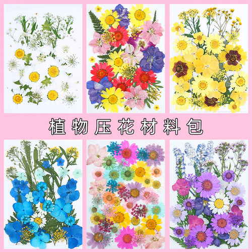 diy相框浮游手工永生花