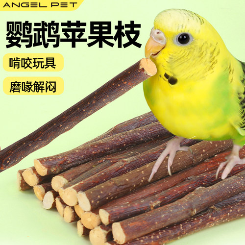 鹦鹉苹果枝木磨牙棒啃咬专用玩具鸟类解闷自嗨磨牙神器鸟用品大全
