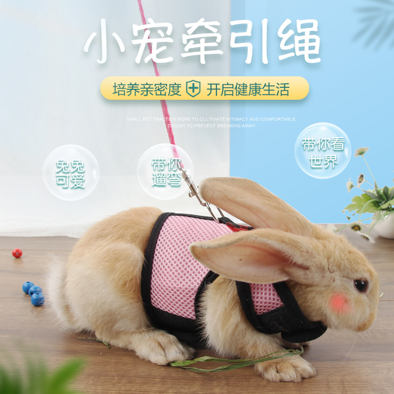 遛兔子牵引绳兔兔用品防挣脱背心式衣服咬小型栓的绳天使翅膀宠物