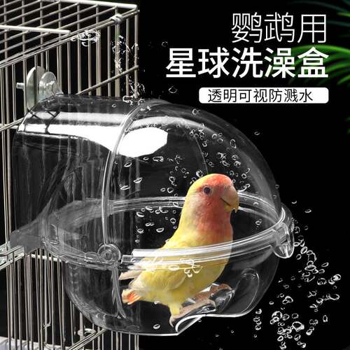 虎皮洗澡盆鹦鹉透明好打理