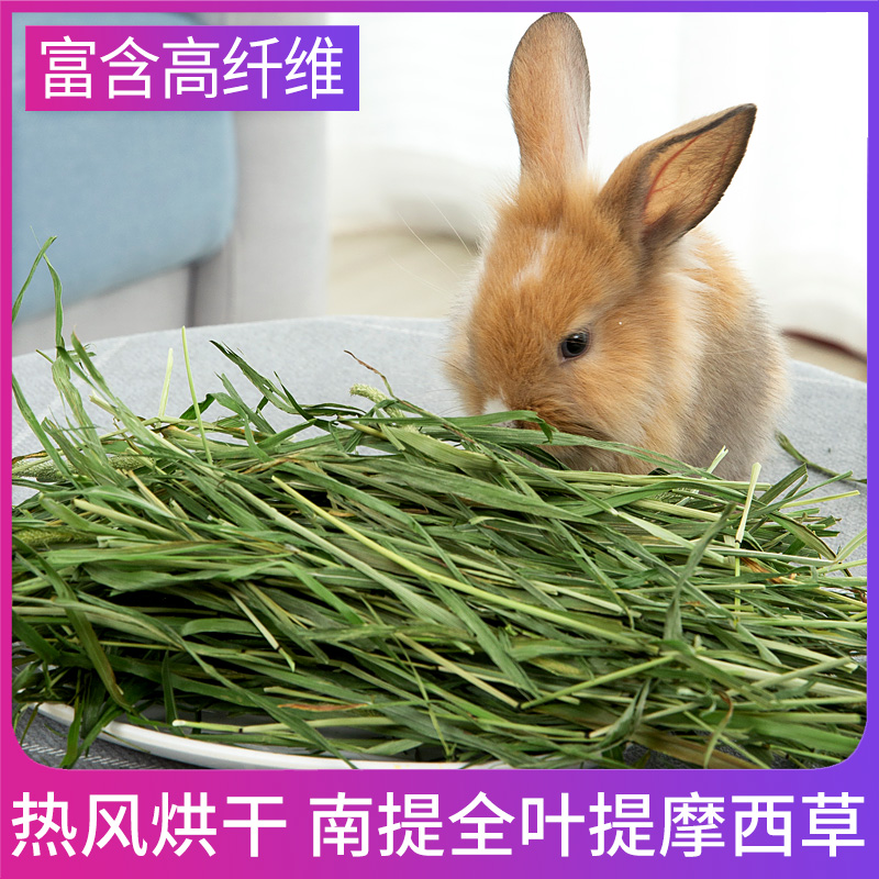 烘干提摩西草新鲜提木西荷兰猪龙猫兔子吃的干草南食兔粮饲料牧草 宠物/宠物食品及用品 兔兔干草 原图主图