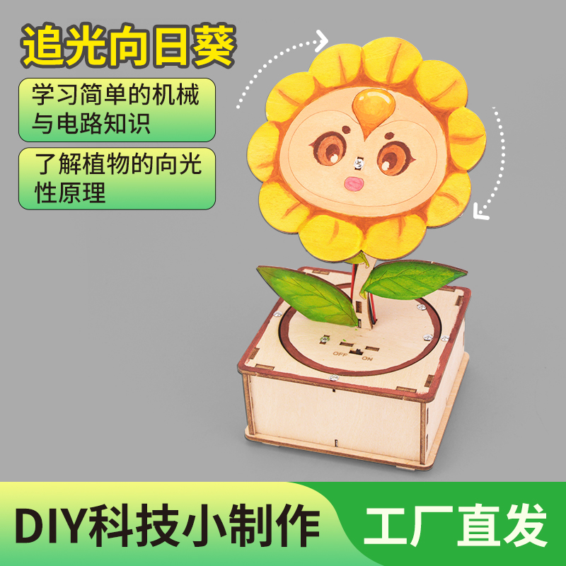 科学实验材料包追光向日葵