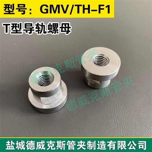 M6M8M10Mj12 Tube Mounting Guide Rail Type T-slot rail nut r
