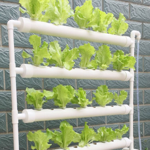 无土栽培蔬菜设备家庭阳台管道式 水培种菜机自动化水耕多层种植W