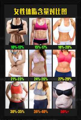 女生体脂对照图 头条搜索