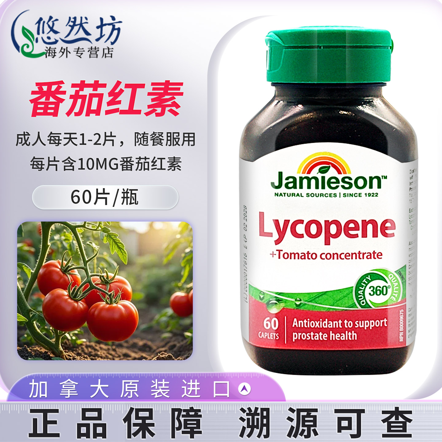 jamieson健美生番茄红素复合片 浓缩100mg保护男士活力耐力加拿大