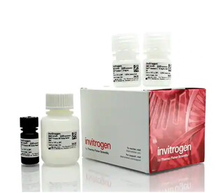 赛默飞 Invitrogen Qubit RNA High检测试剂盒 A50668