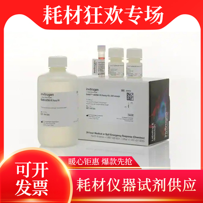 定量试剂盒赛默飞促销热卖正品