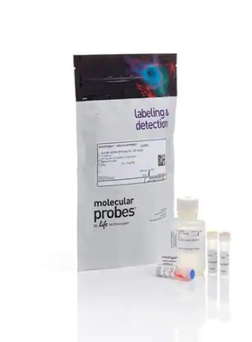 赛默飞 Invitrogen Qubit RNA High检测试剂盒 Q32850