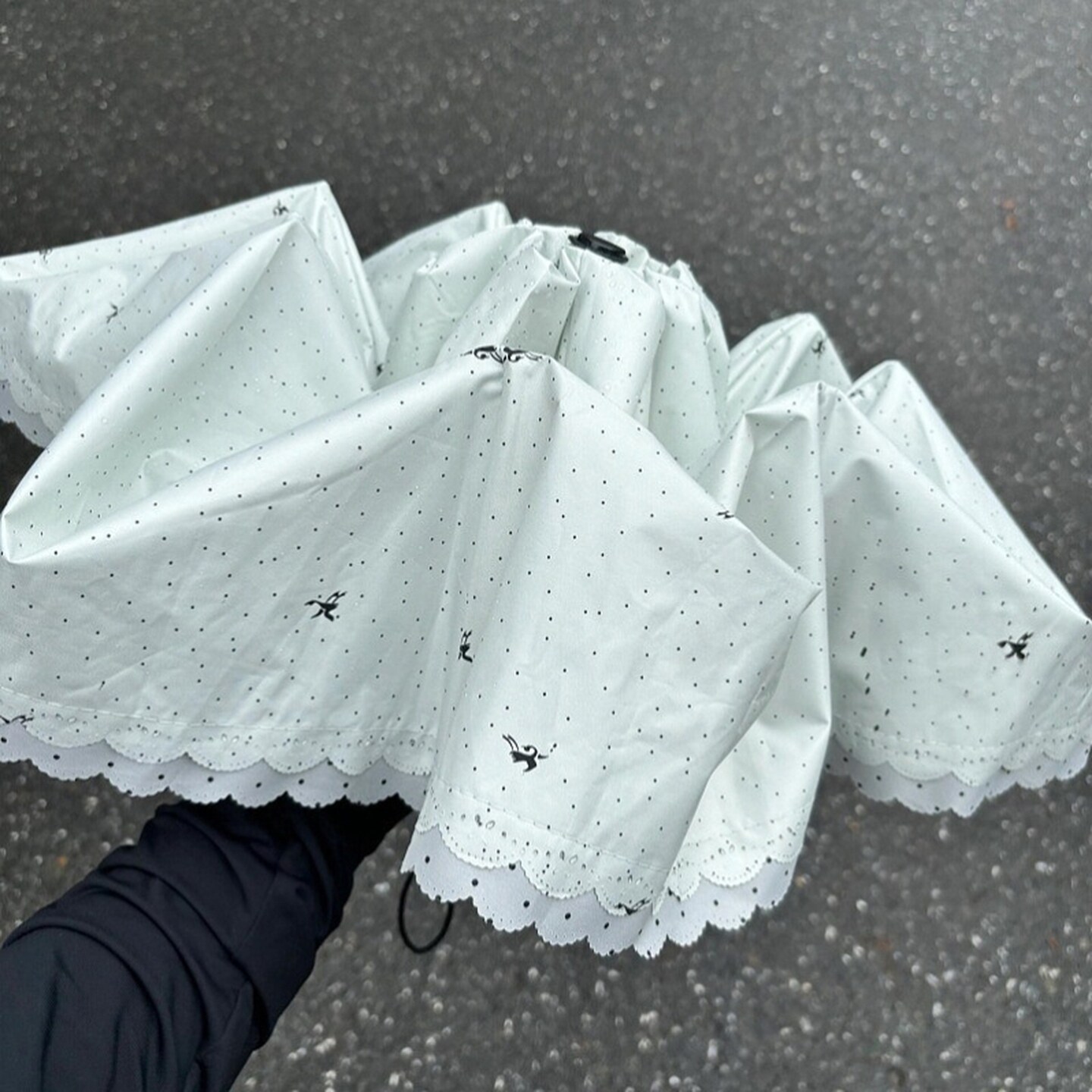 波点蕾丝雨伞女晴雨两用自动防晒防紫外线高颜值太阳伞遮阳公主风