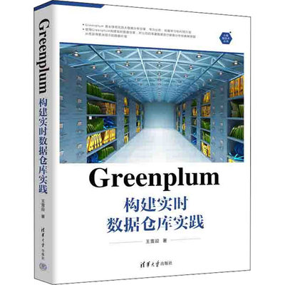 正版 Greenplum构建实时数据仓库实践 王雪迎著 清华大学出版社 9787302611653 可开票