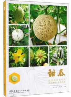中国林业出版 社 甜瓜优质栽培及病虫害防治新技术 9787503899034 可开票 张万清 正版