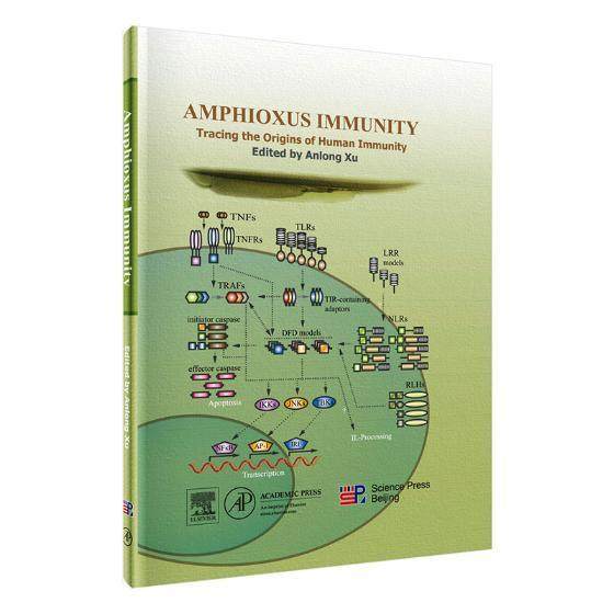 amphioxus immunity:tracing the origins of human immunity
