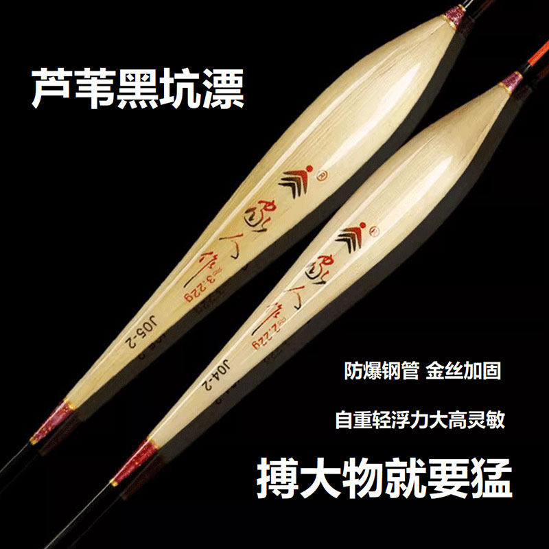 家人芦苇漂高灵敏加粗醒目鲫鱼漂