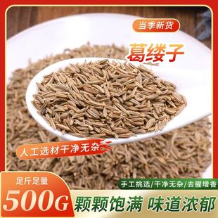 葛缕子包邮 葛娄子 藏茴香
