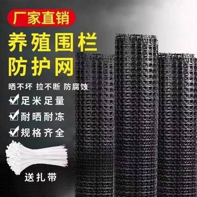 塑料网格围栏网家禽水产养殖网果蔬养鱼玉米黑色防护网梨园大格栅