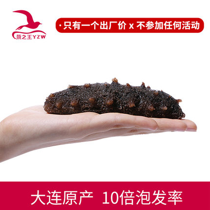 燕之王YZW大连9年淡干海参旗舰店干货250g深海辽刺参海生礼品盒