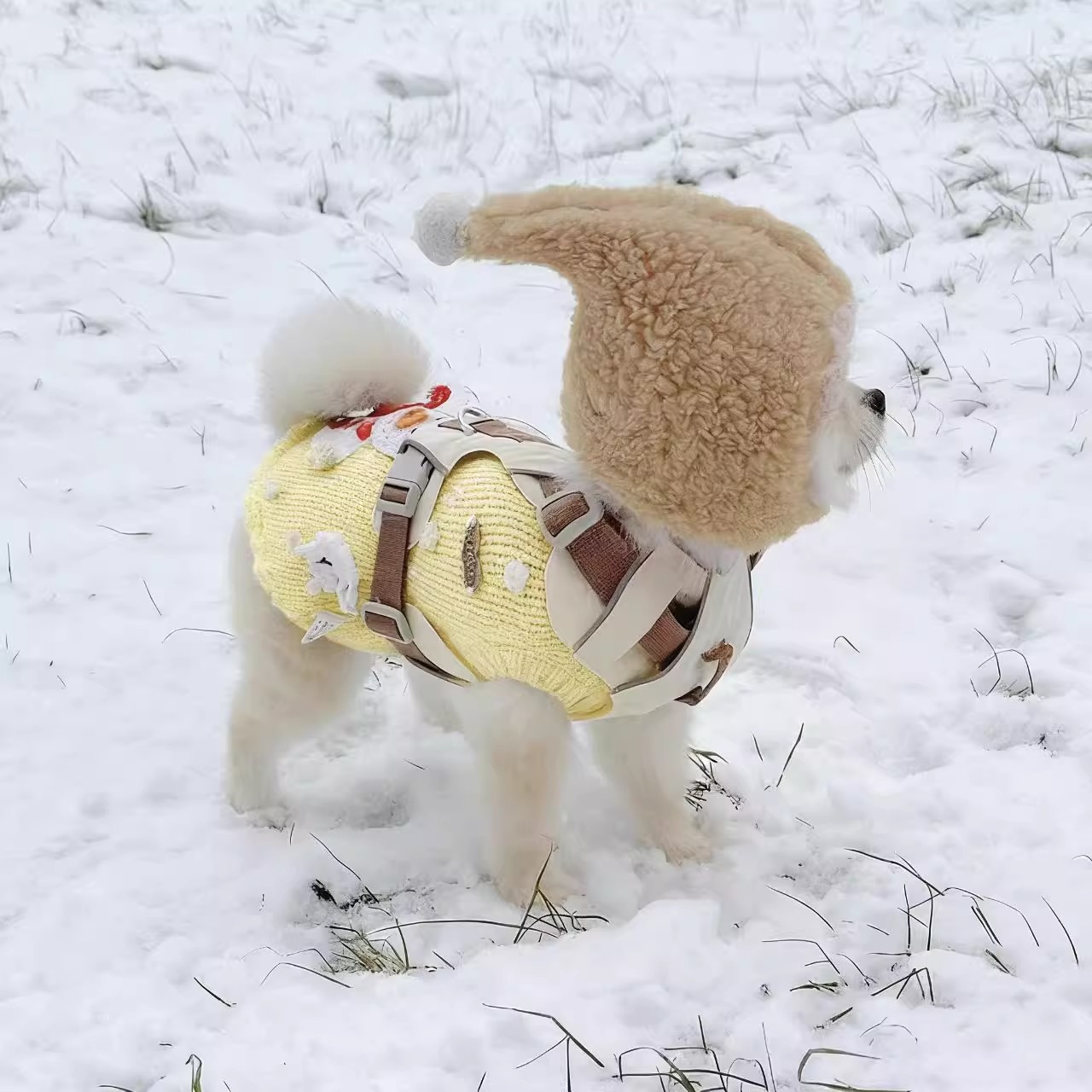 宠物狗狗帽子冬天新款毛绒头套保暖可爱博美小型犬猫咪衣服头饰