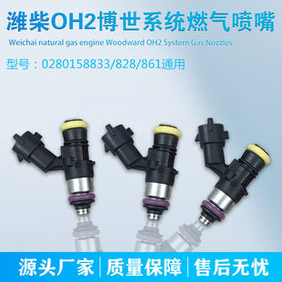OH2零公里博士燃气喷嘴 OH2博士系统 LNG天然气发动机喷射阀