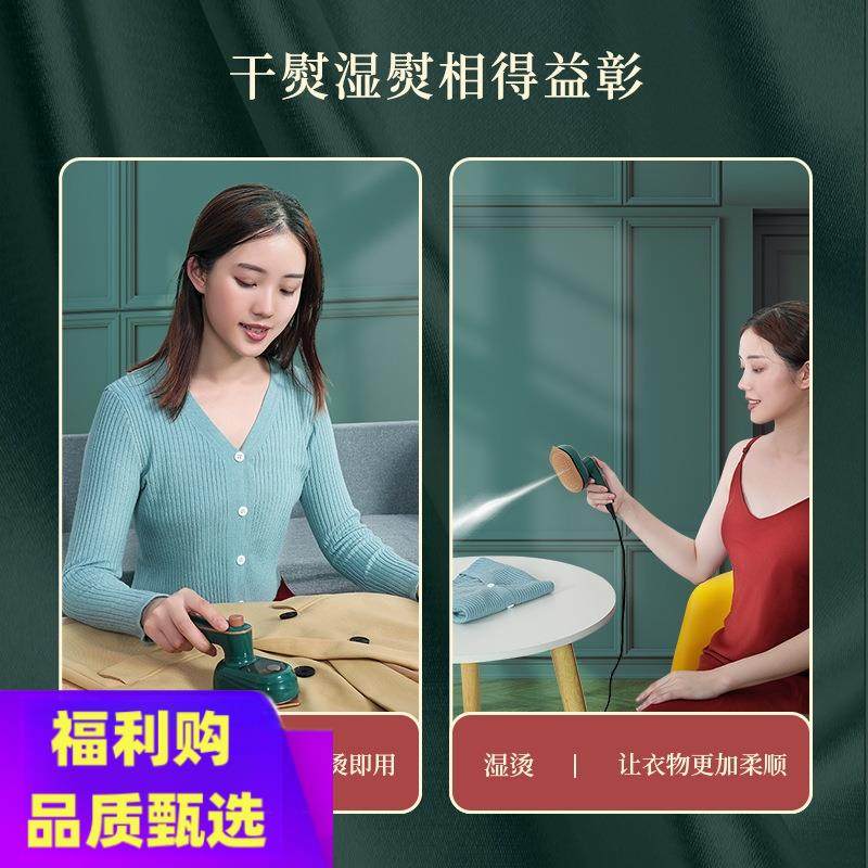 110v伏手持挂烫机家用小型便携式熨烫机干湿两熨宽电压迷你电熨斗