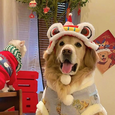 新年狗狗帽子春节过年宠物头套头饰装饰品边牧金毛拉布拉多配饰