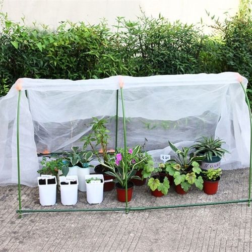 迷你温室价格 迷你温室图片 星期三