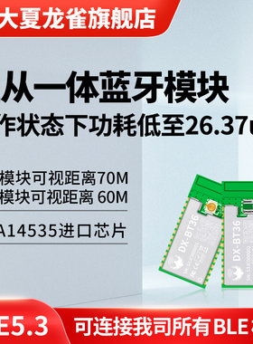 大夏龙雀主从一体蓝牙5.3模块低功耗串口无线通信透传输模组BT36