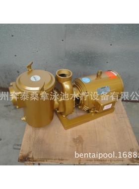 美国LEESON铜泵 利森铜泵 泳池过滤循环铜泵 泳池铜泵 5HP/380V