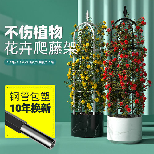 诗彩爬藤架植物不怕烫的支撑架