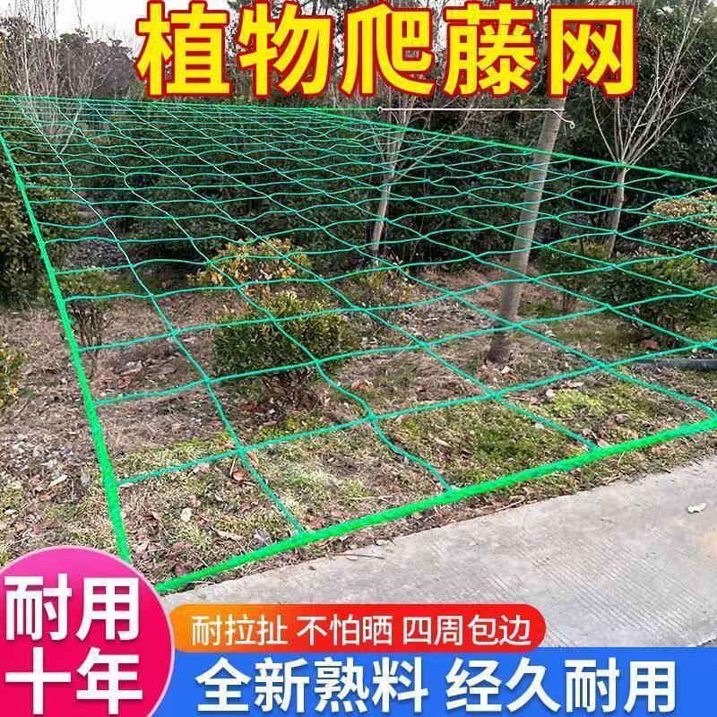 爬藤网植物种植网爬藤网丝瓜苦瓜搭架吊瓜葡萄豆角百香果黄瓜攀爬