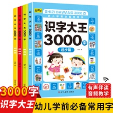 全套4册识字大王3000字儿童启蒙早教卡片3-4-5-6-7岁幼儿园中班大班学前班宝宝幼小衔接学前看图识字书由易到难由简入繁象形教材