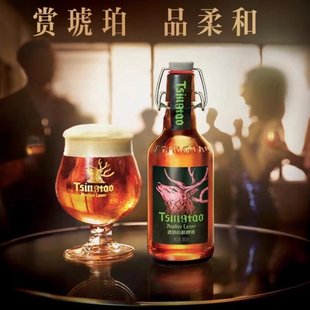 青岛啤酒琥珀拉格380mlX12瓶装整箱高端包邮13.8度原产地正宗一厂