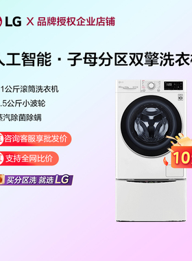 LG FY13WYW双擎洗衣机13.5Kg子母洗衣机家用全自动分区洗衣机除菌