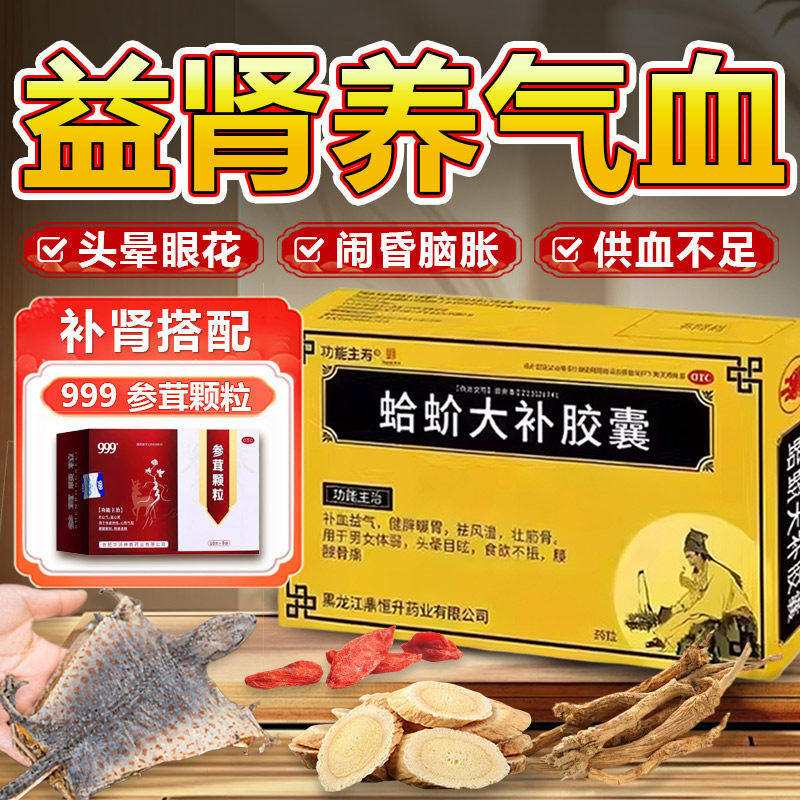 蛤蚧大补胶囊补气血不足益气体虚健脾暖胃眩补肾湿头重脚轻中药QX